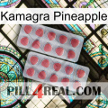 Kamagra Pineapple 19